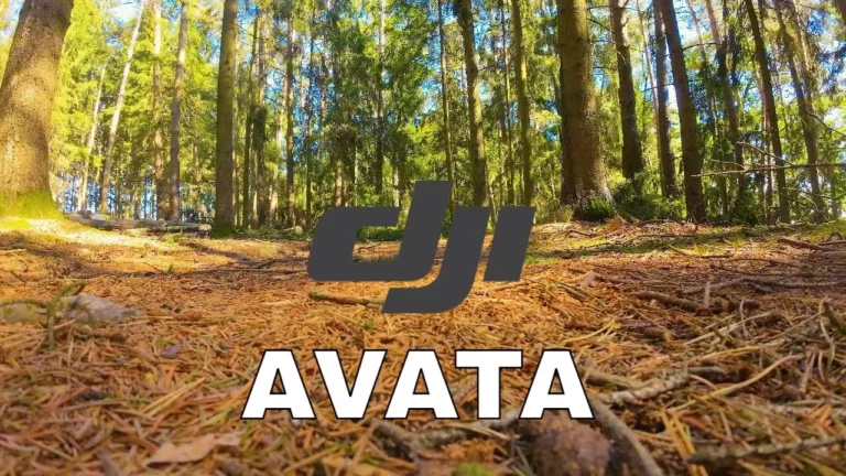 Waldboden zwischen Baumstämmen, darüber der Schriftzug DJI Avata